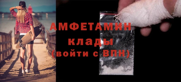 МДПВ Бородино