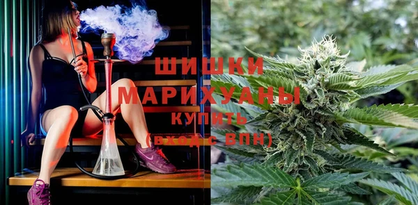 винт Бронницы