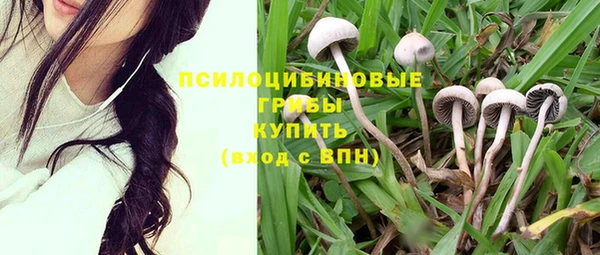 MESCALINE Богородицк