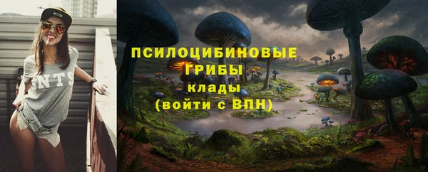 винт Бронницы